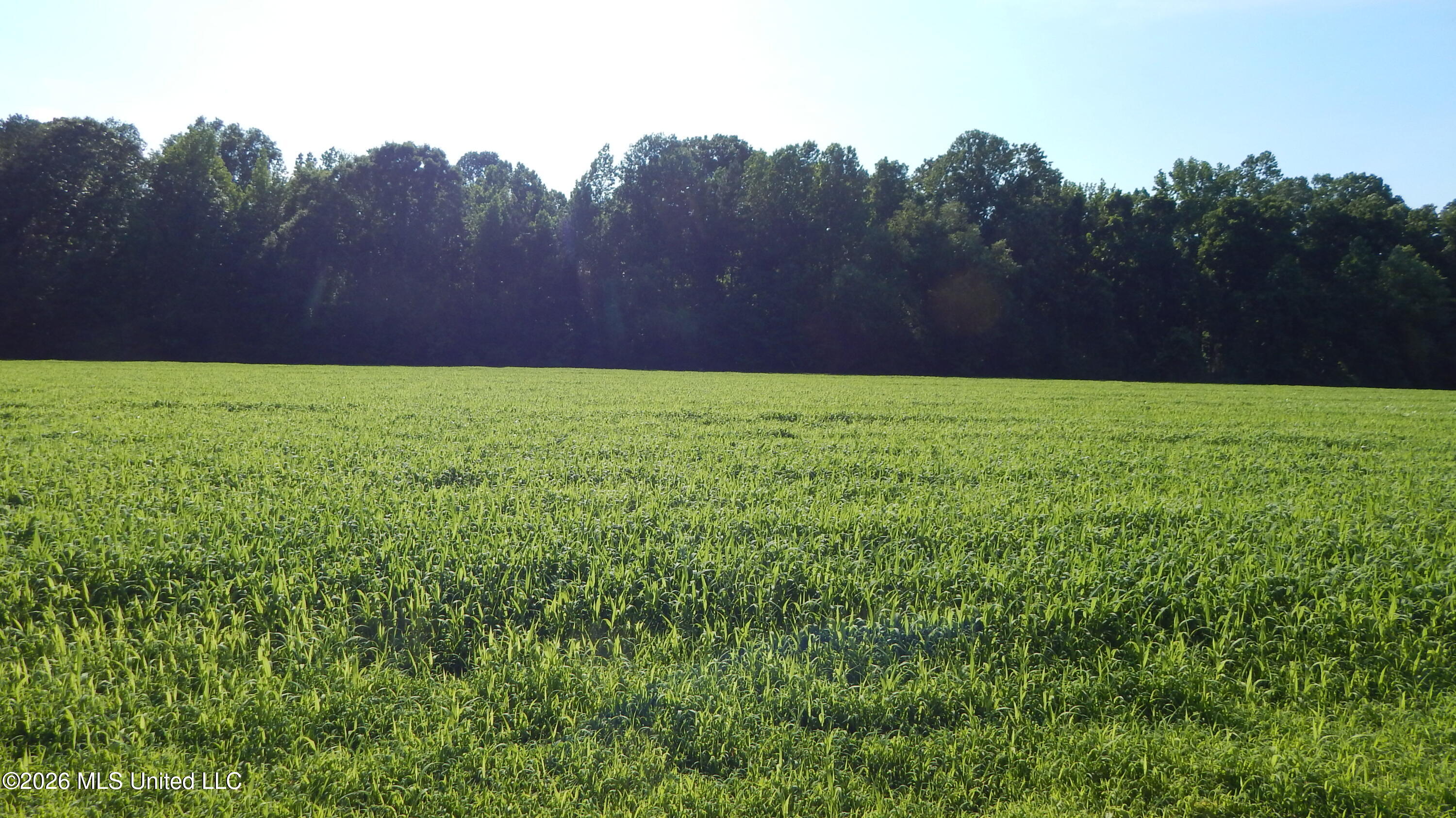 500 Cr 247 Country Road Property Photo 1