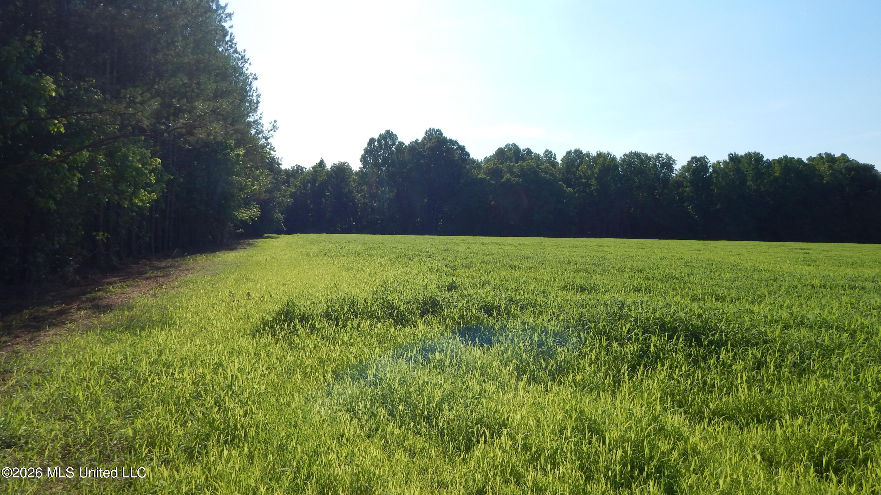 500 Cr 247 Country Road Property Photo 3