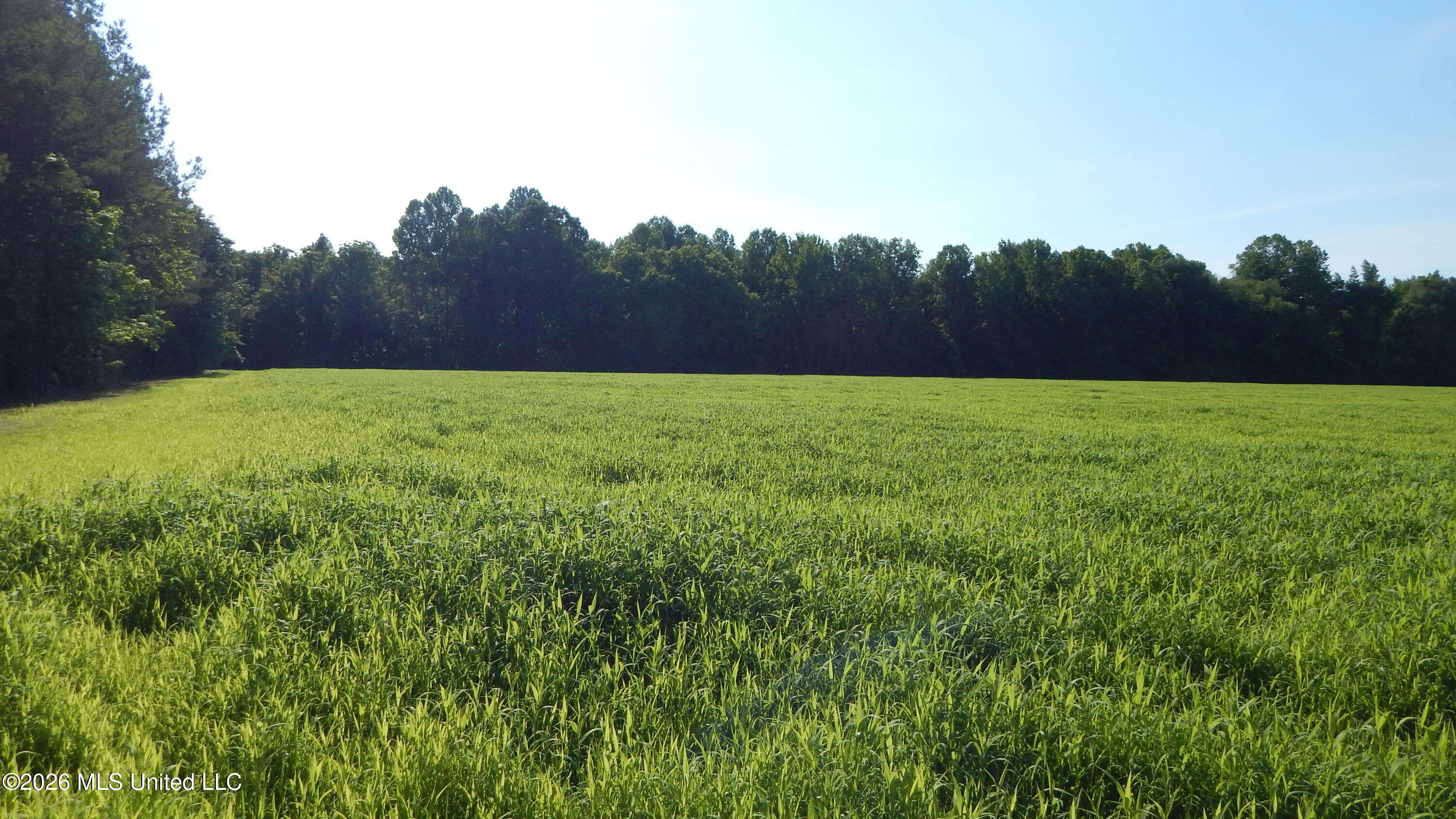 500 Cr 247 Country Road Property Photo 4