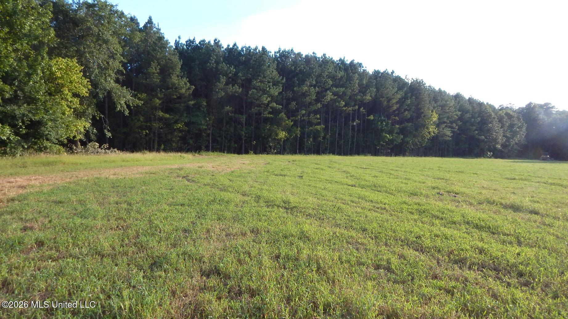 500 Cr 247 Country Road Property Photo 5