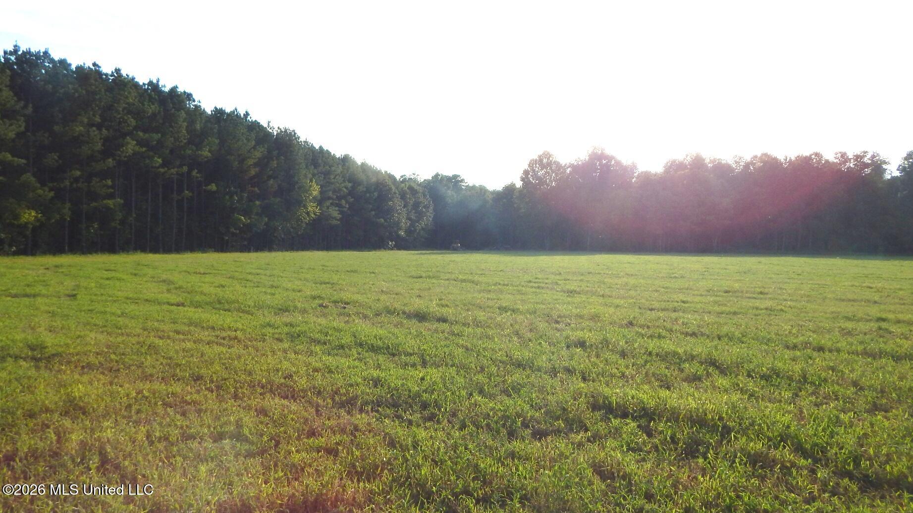 500 Cr 247 Country Road Property Photo 6
