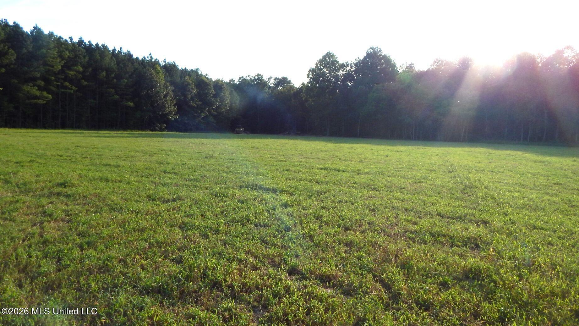 500 Cr 247 Country Road Property Photo 7