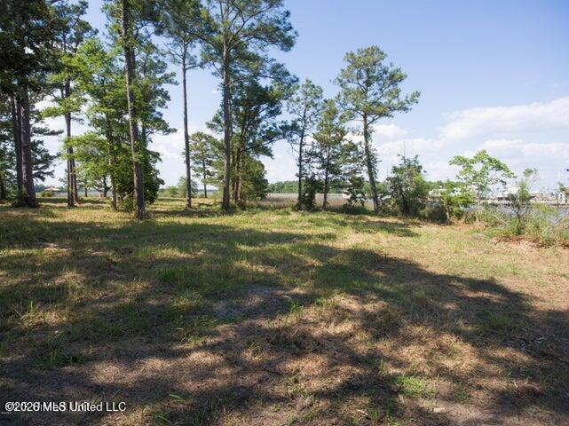 0 Irondale Street Property Photo 4