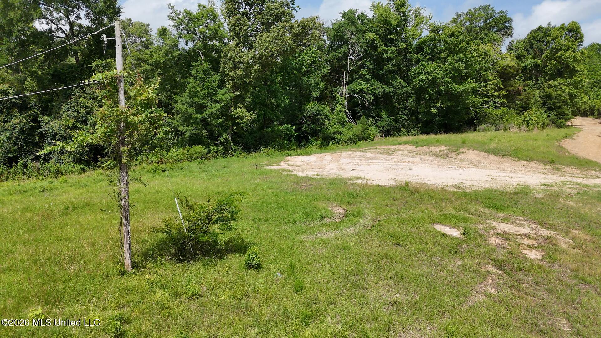 0 Dogwood Road Property Photo 2