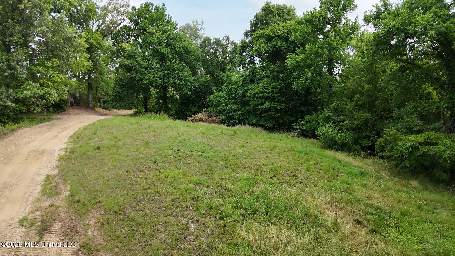 0 Dogwood Road Property Photo 4