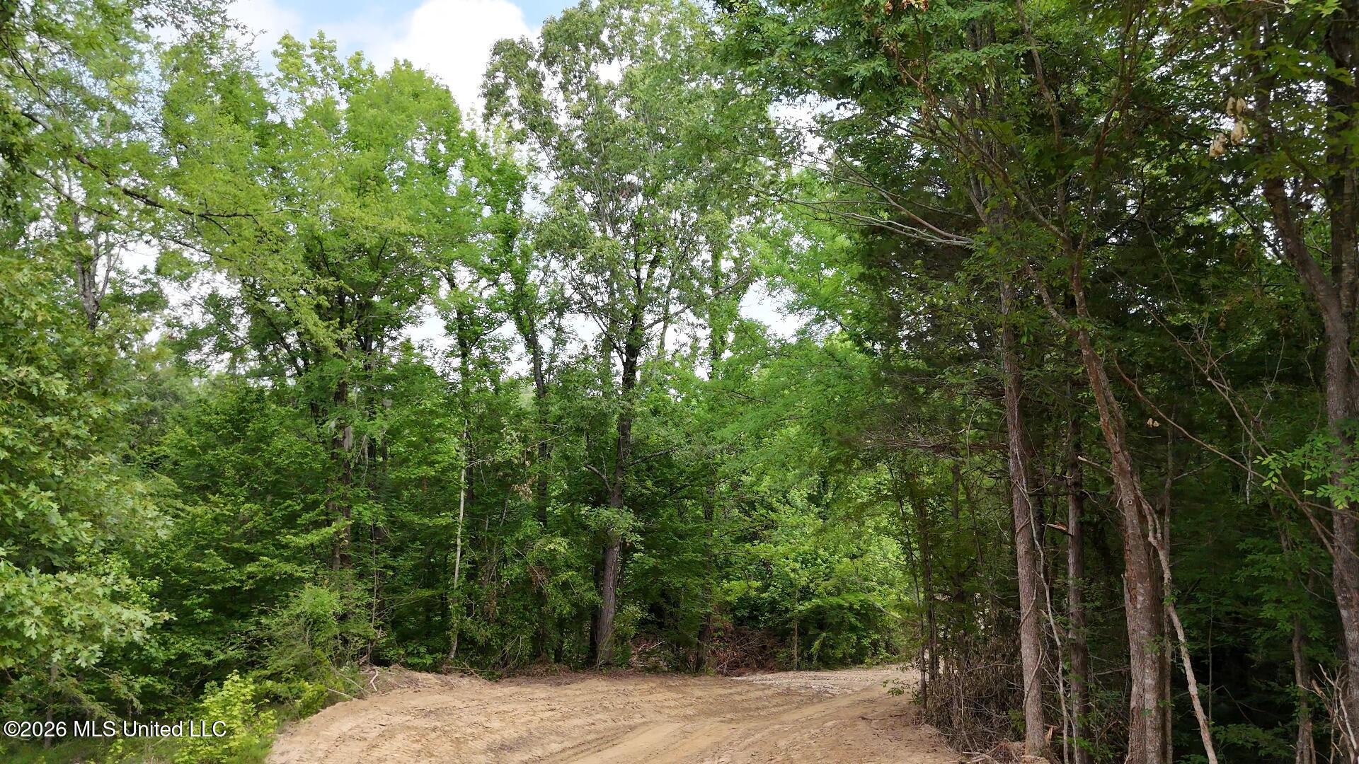 0 Dogwood Road Property Photo 6