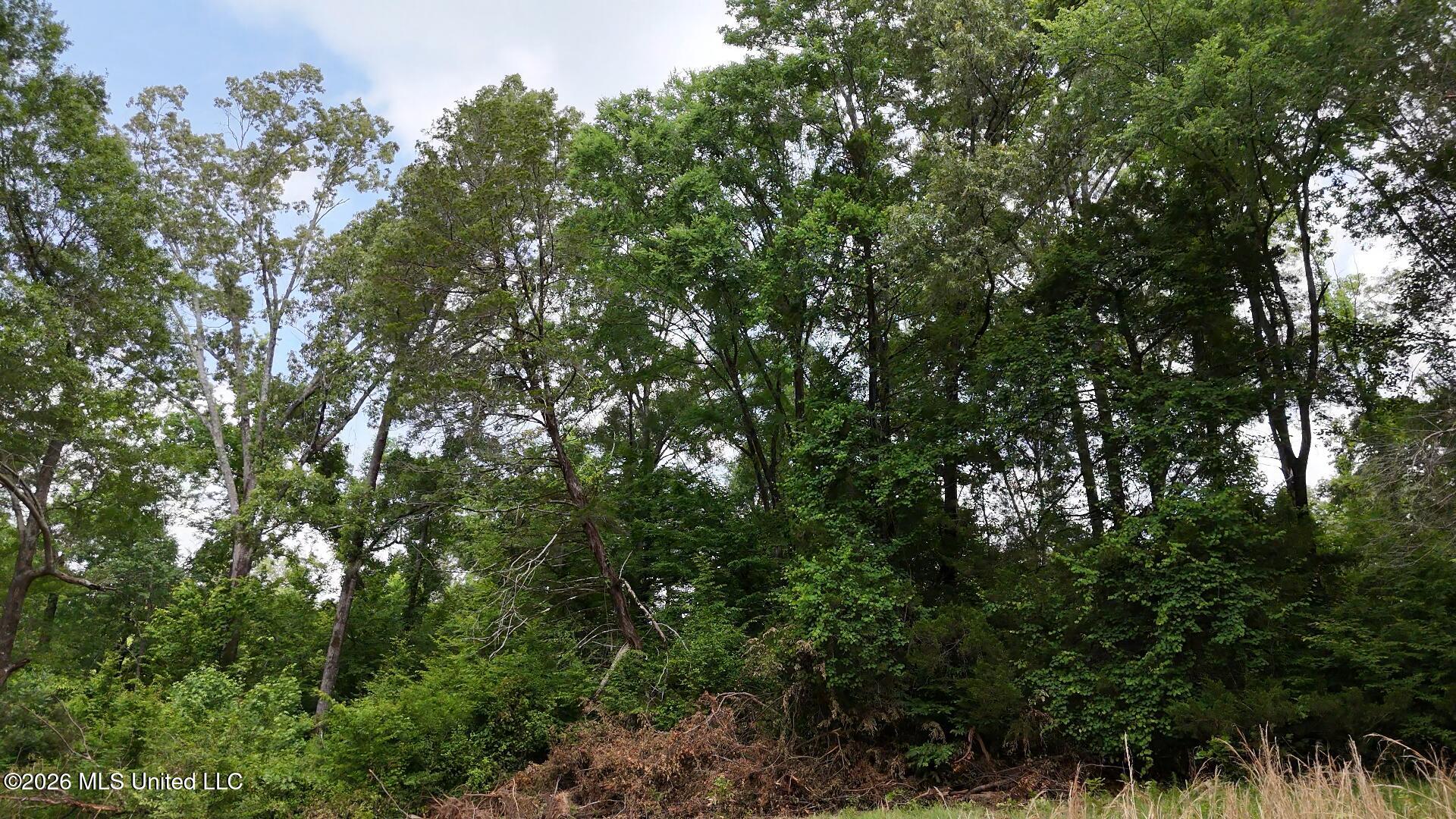 0 Dogwood Road Property Photo 11