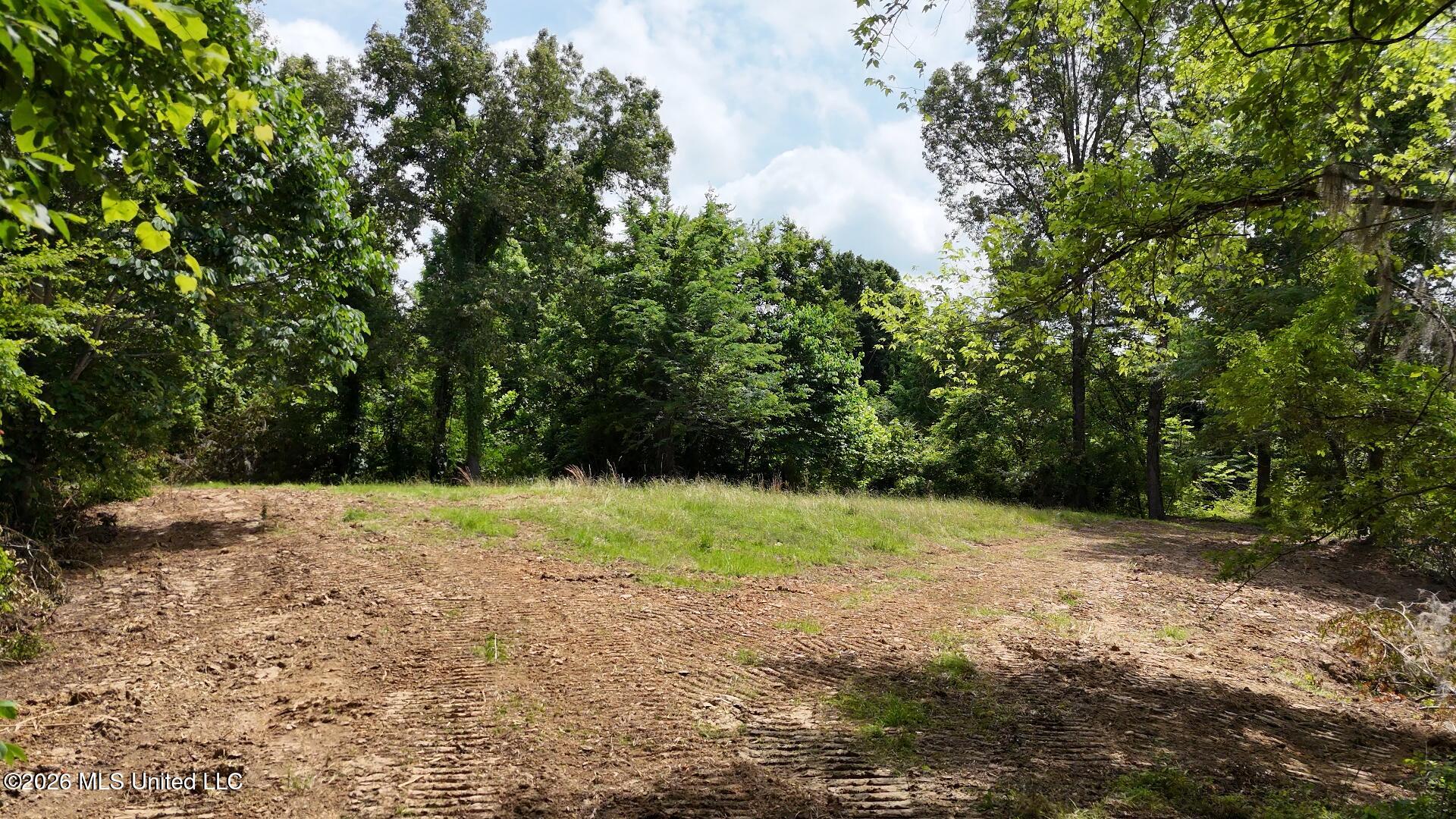 0 Dogwood Road Property Photo 13