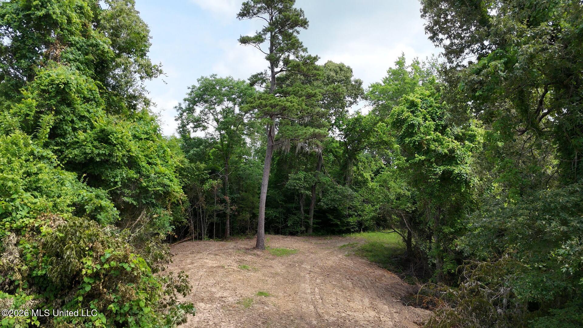 0 Dogwood Road Property Photo 14