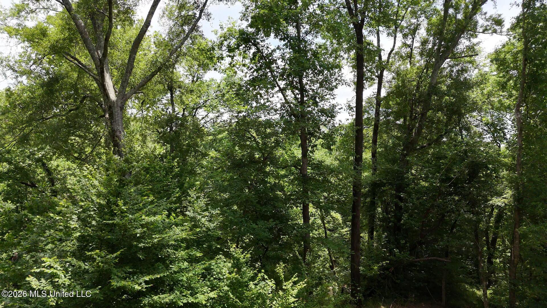 0 Dogwood Road Property Photo 19