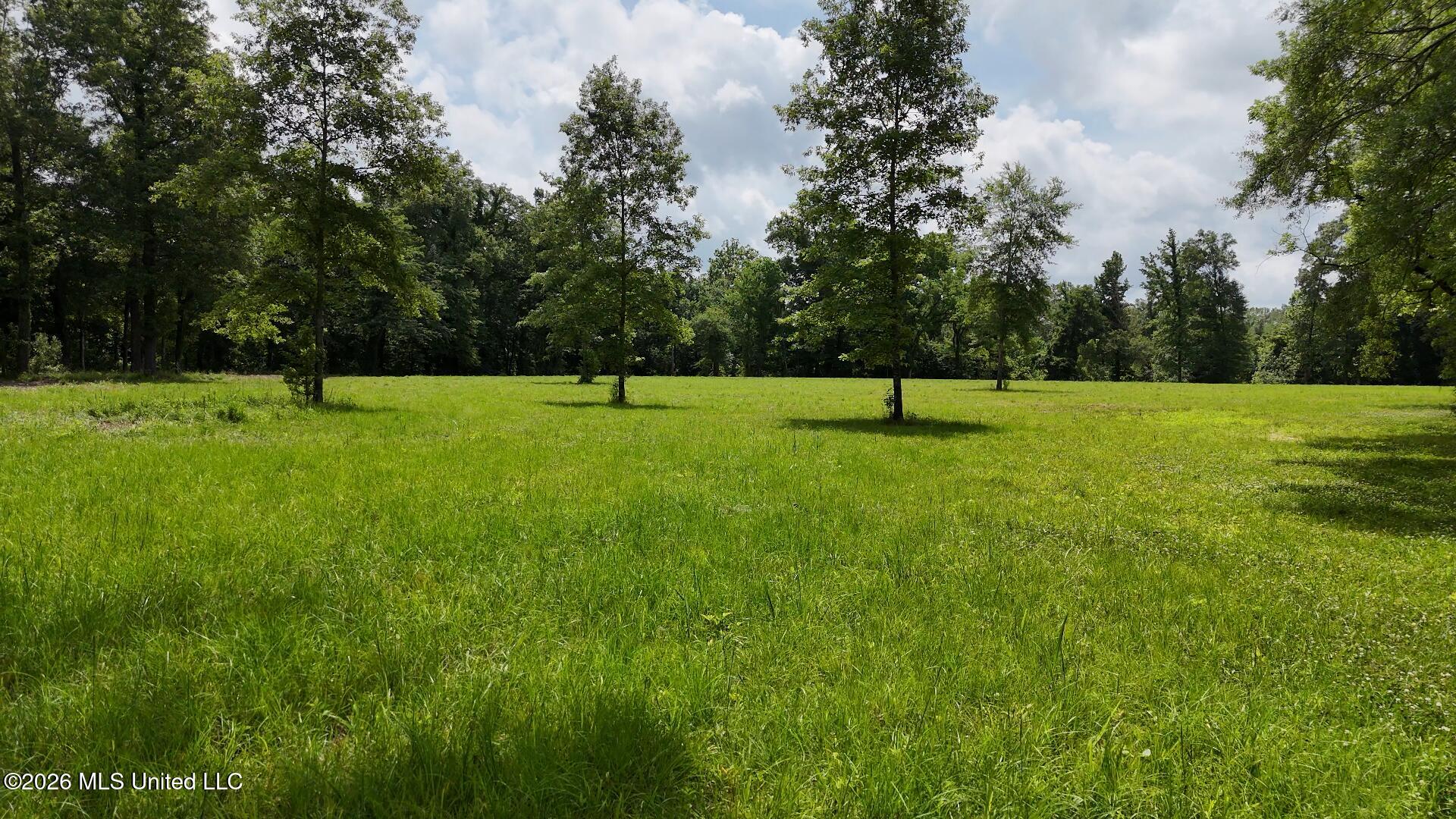 00 Dogwood Road Property Photo 4