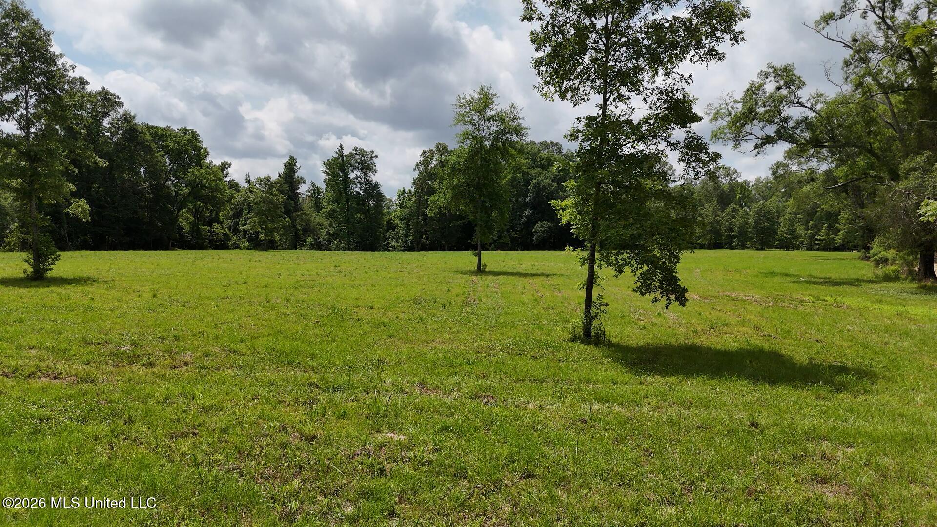 00 Dogwood Road Property Photo 5