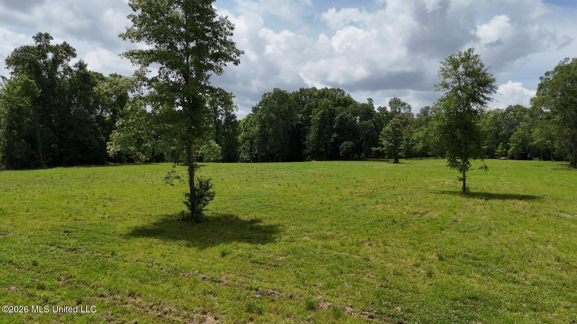00 Dogwood Road Property Photo 6