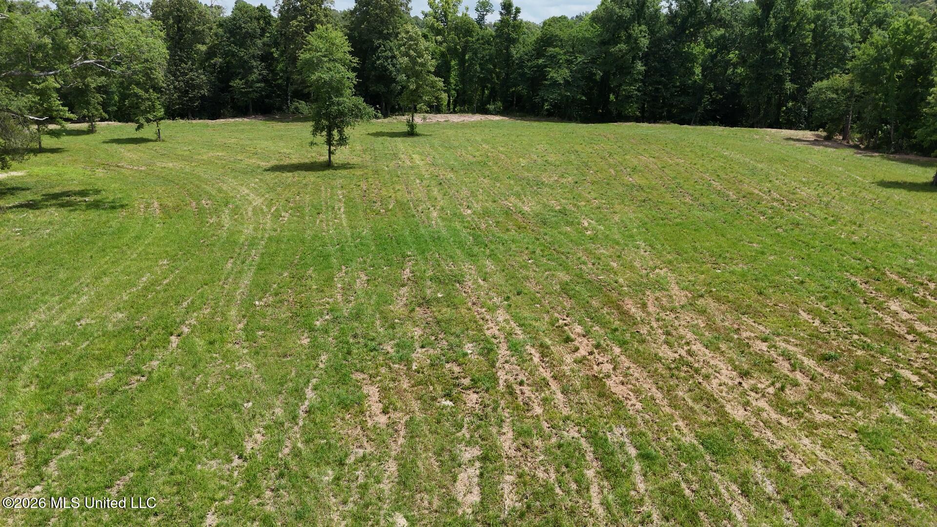 00 Dogwood Road Property Photo 7