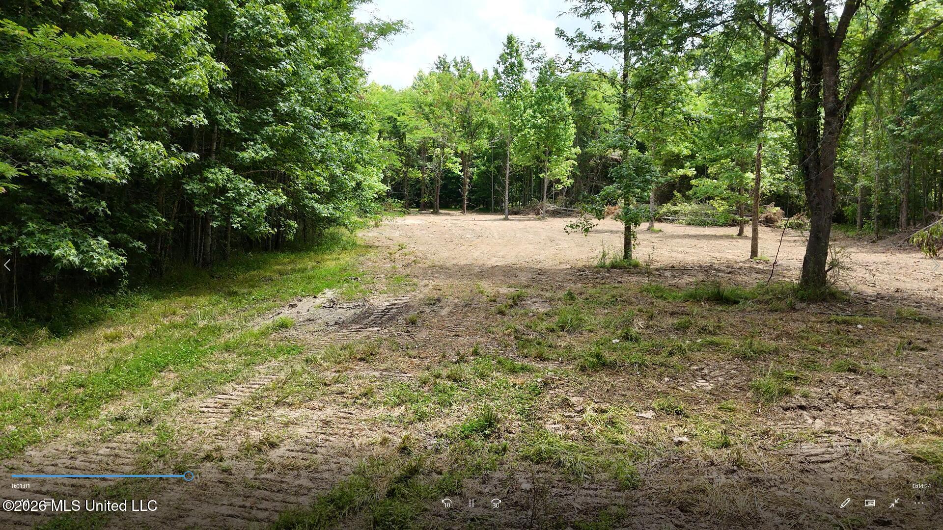00 Dogwood Road Property Photo 9