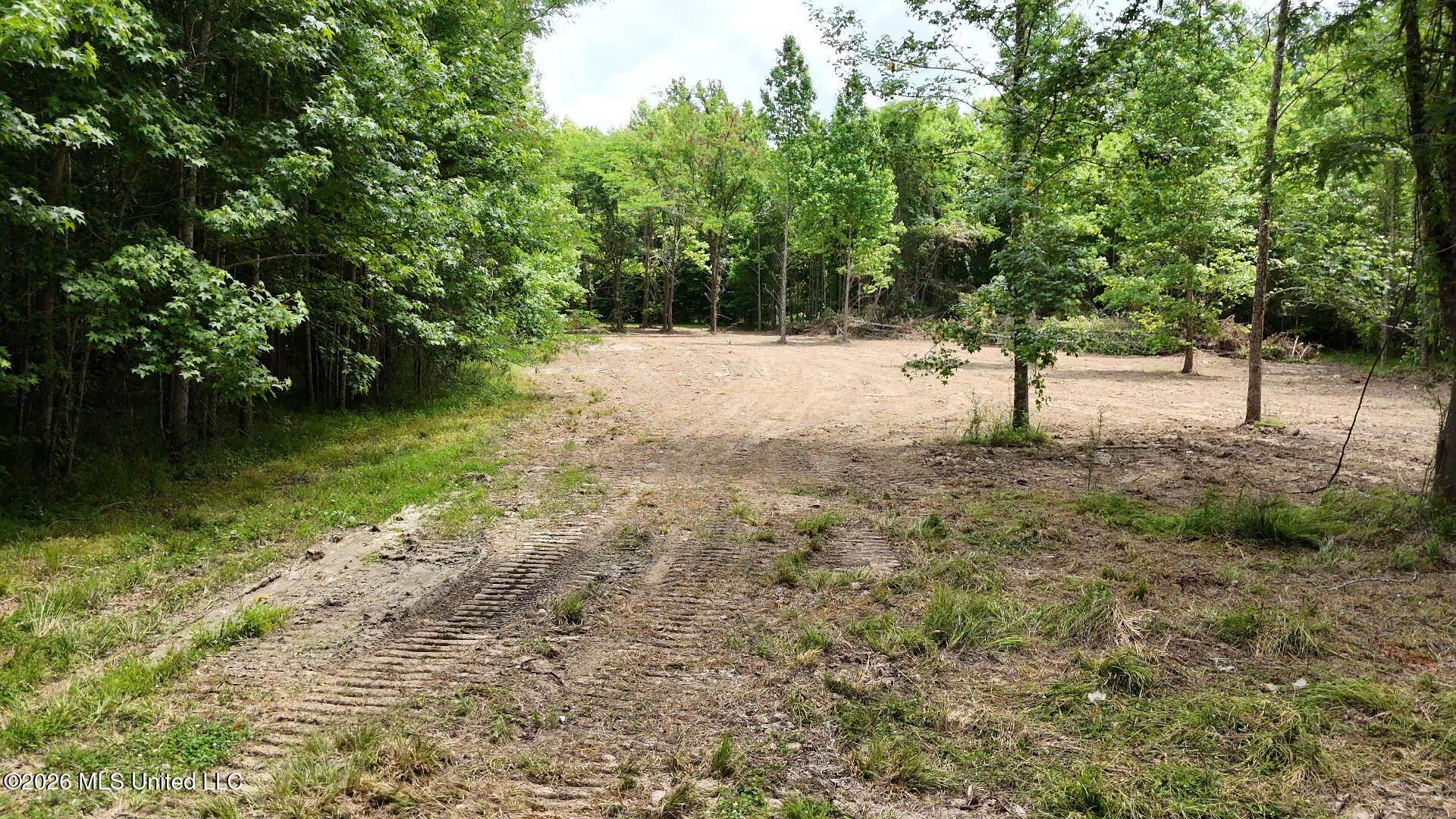 00 Dogwood Road Property Photo 10