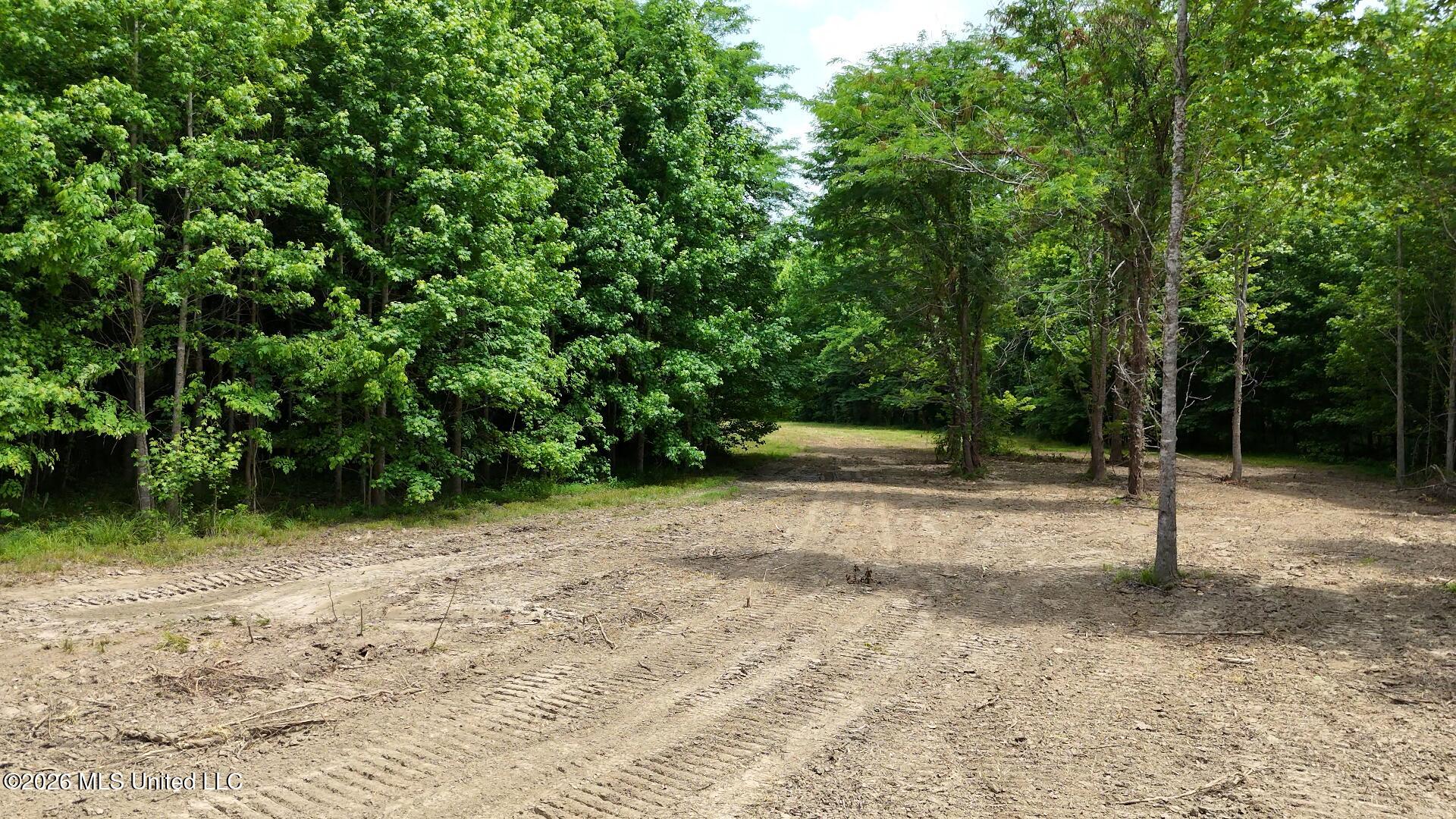 00 Dogwood Road Property Photo 11