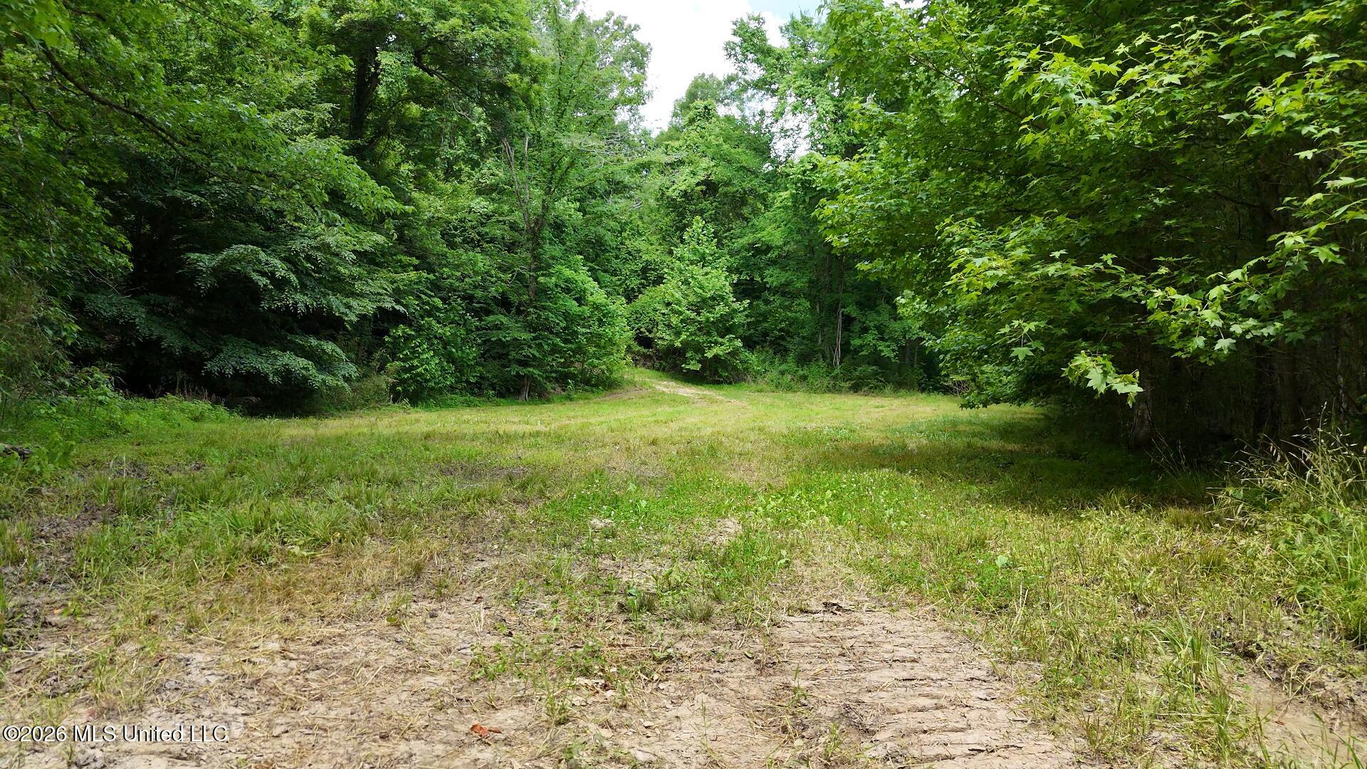 00 Dogwood Road Property Photo 12