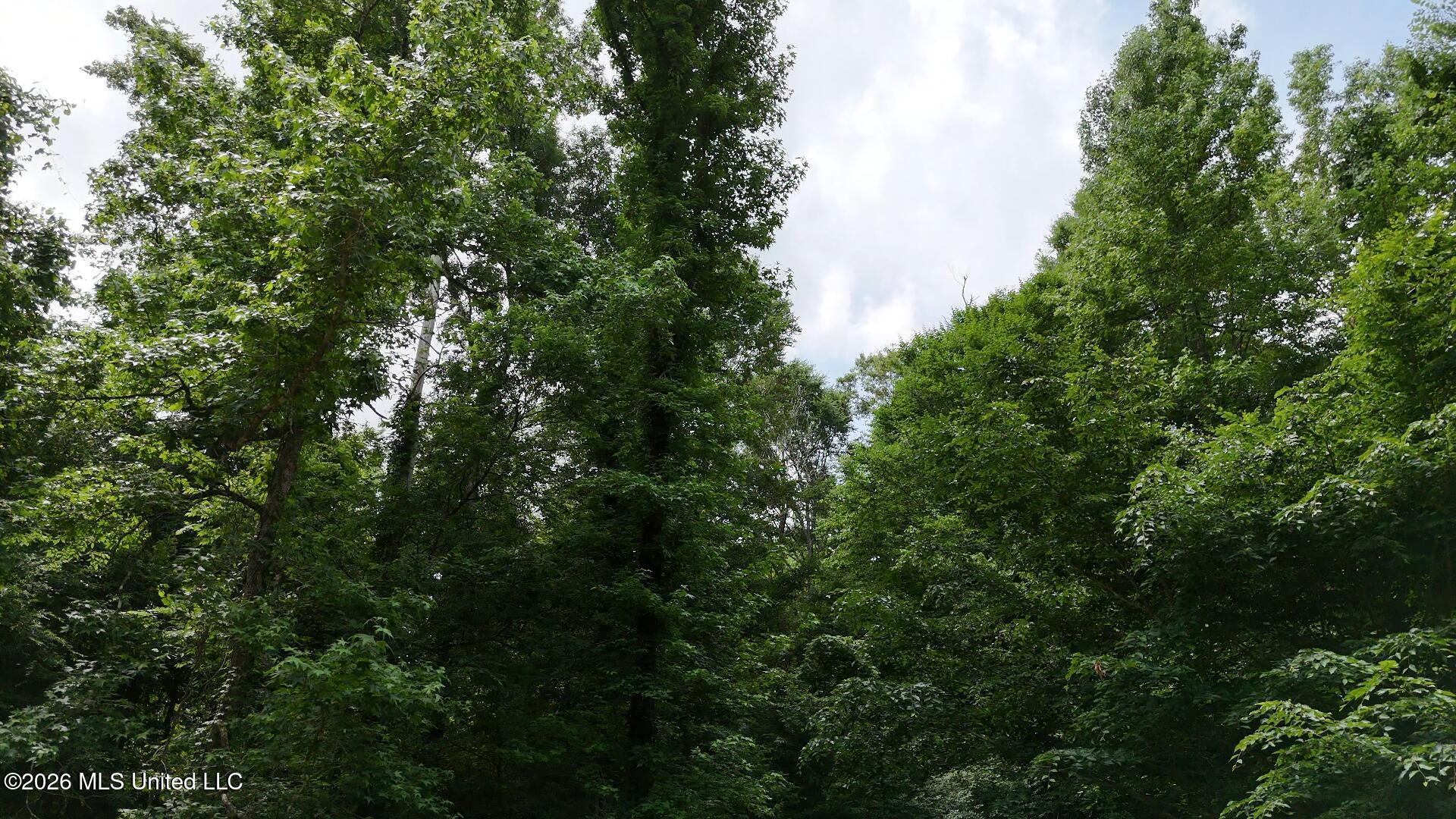 00 Dogwood Road Property Photo 13