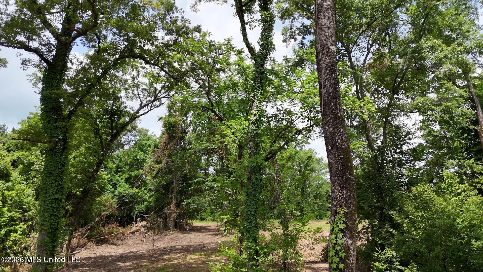 00 Dogwood Road Property Photo 14
