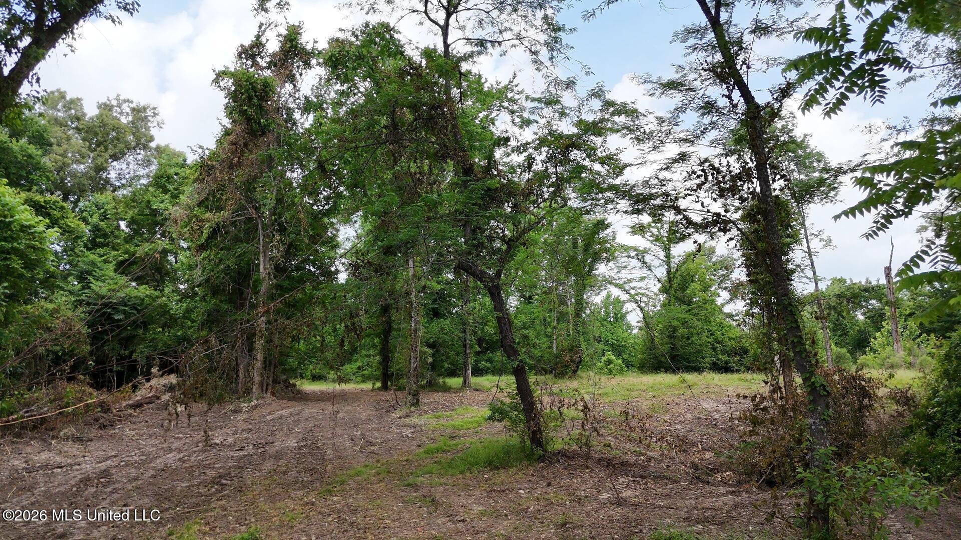 00 Dogwood Road Property Photo 15