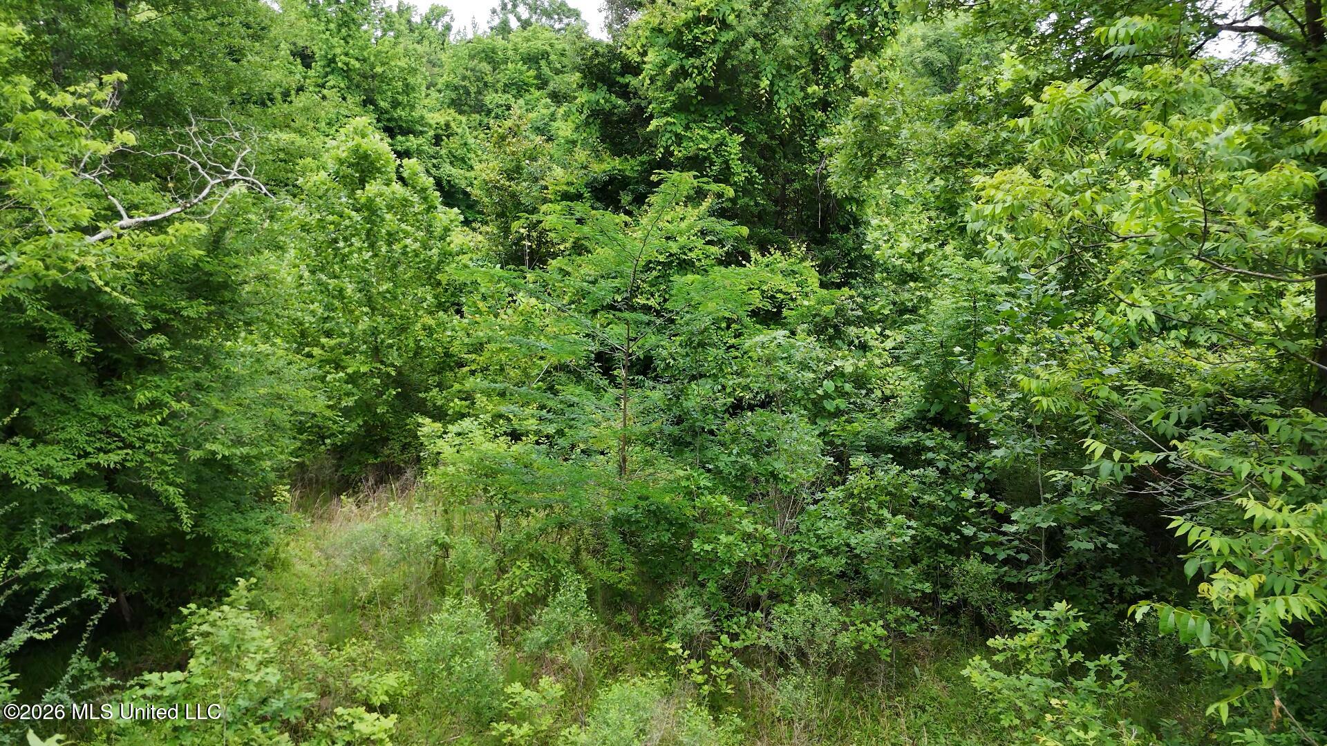 00 Dogwood Road Property Photo 16