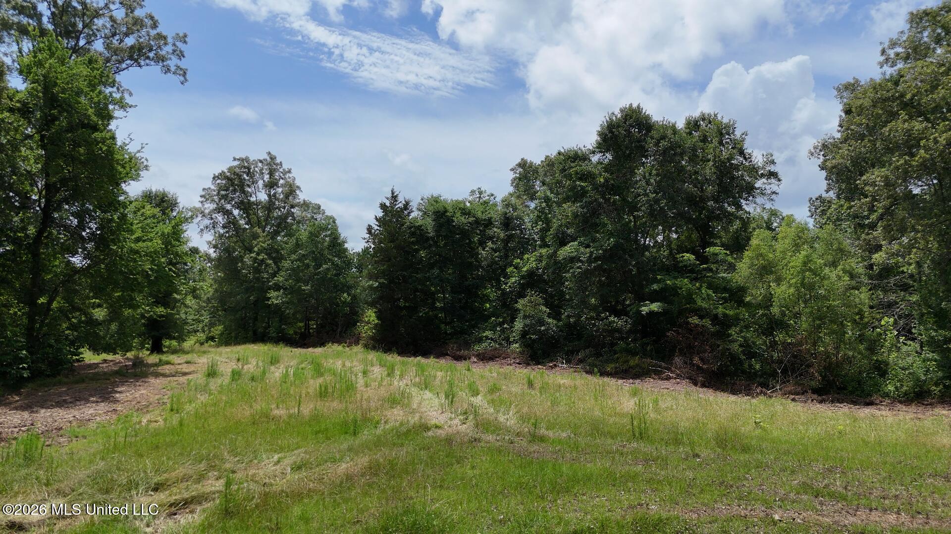 00 Dogwood Road Property Photo 17