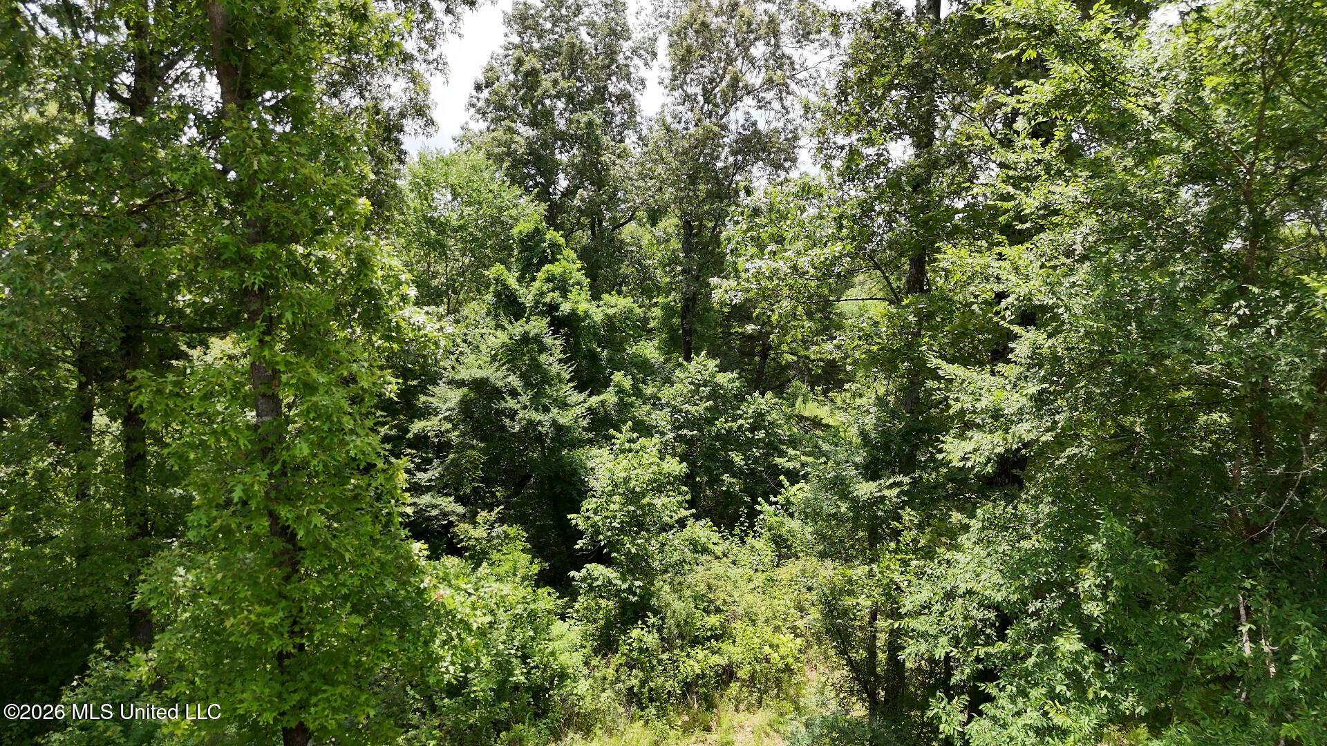 00 Dogwood Road Property Photo 23
