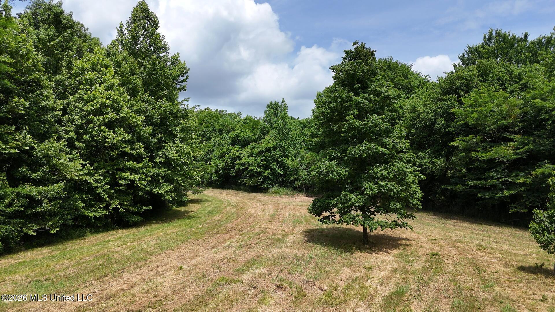 00 Dogwood Road Property Photo 25