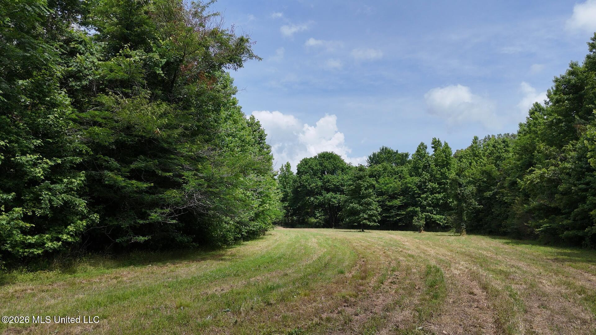 00 Dogwood Road Property Photo 26