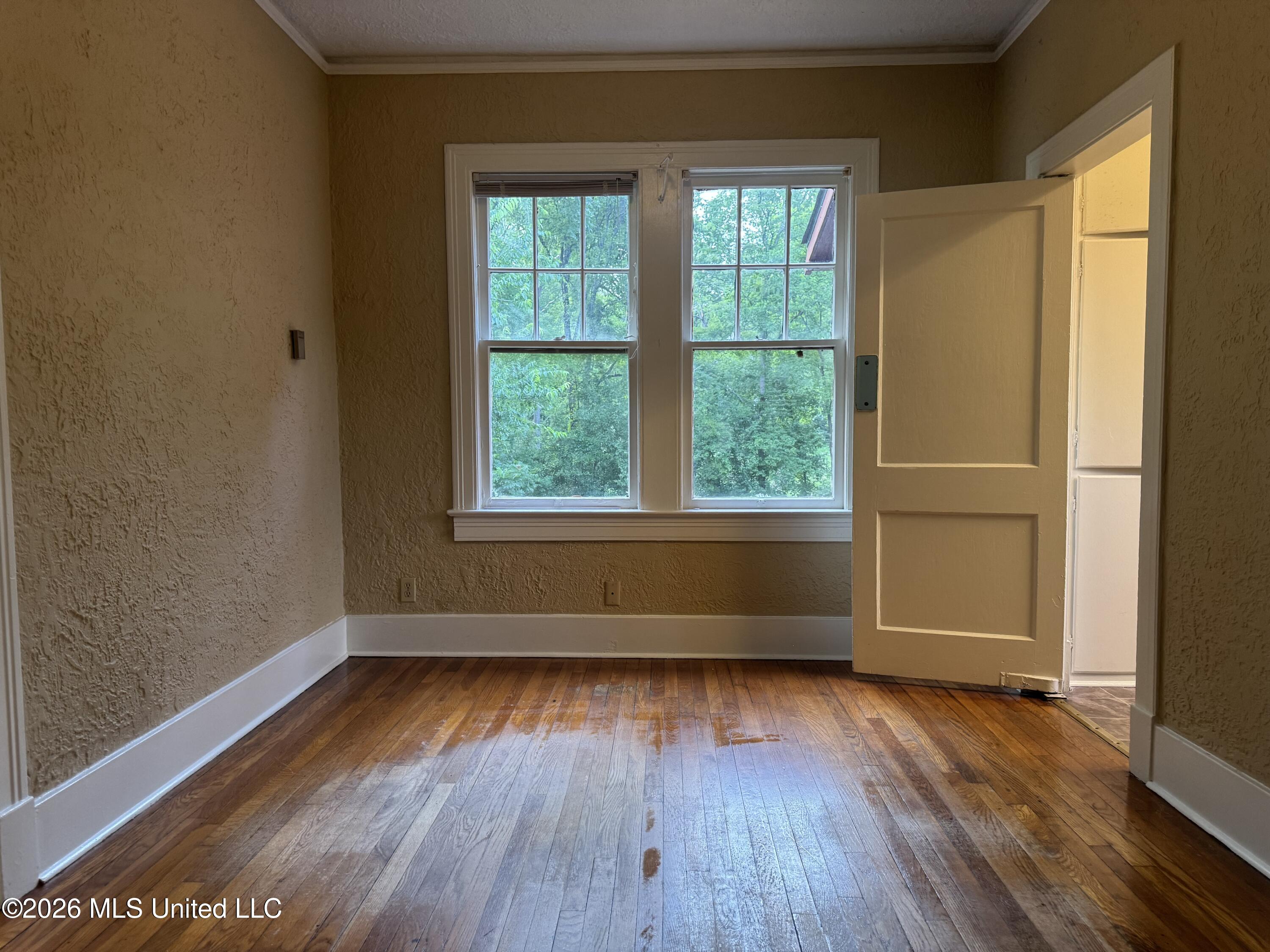 428 Decelle Street Property Photo 19