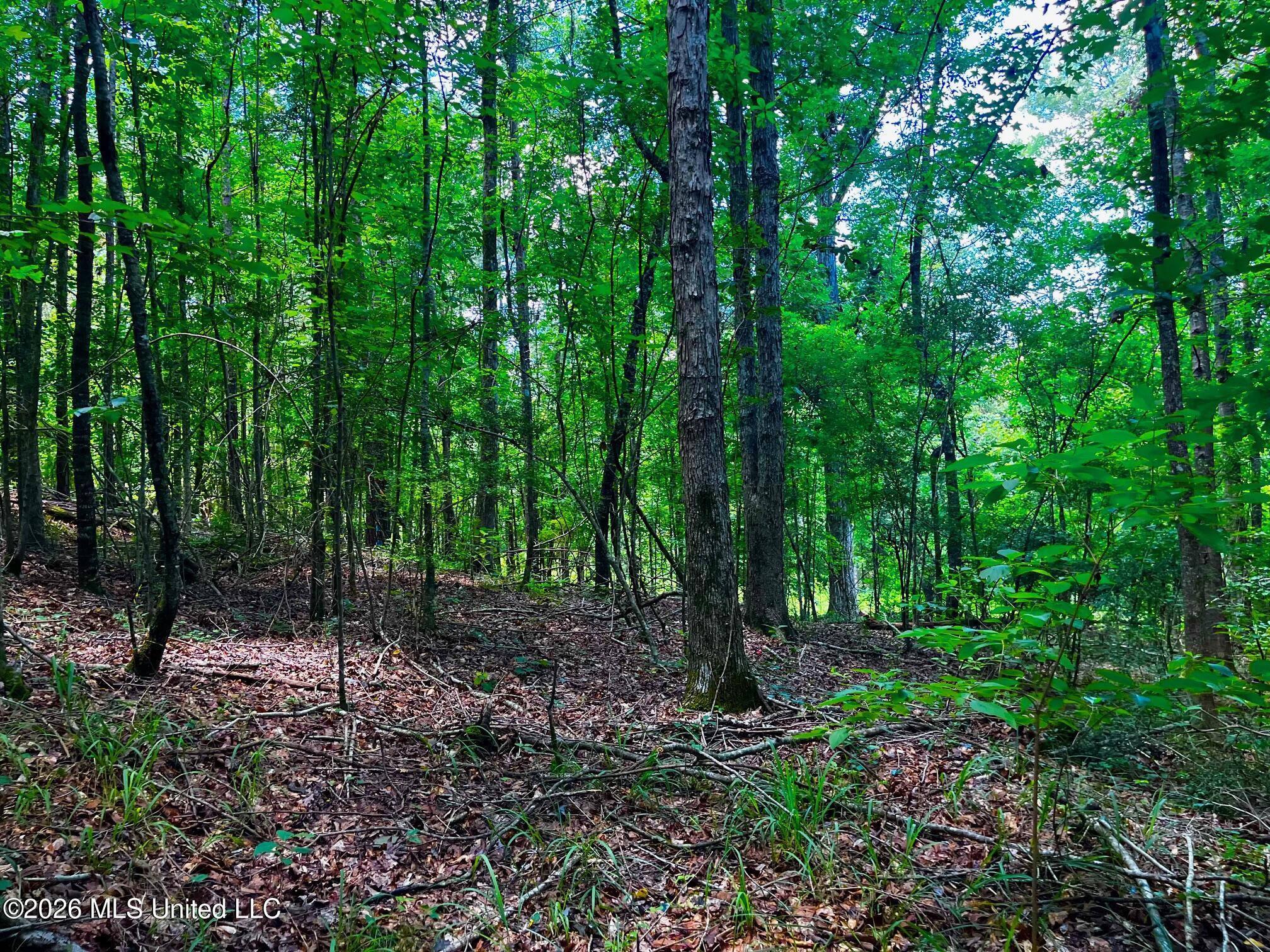 F E Sellers Highway Property Photo 17
