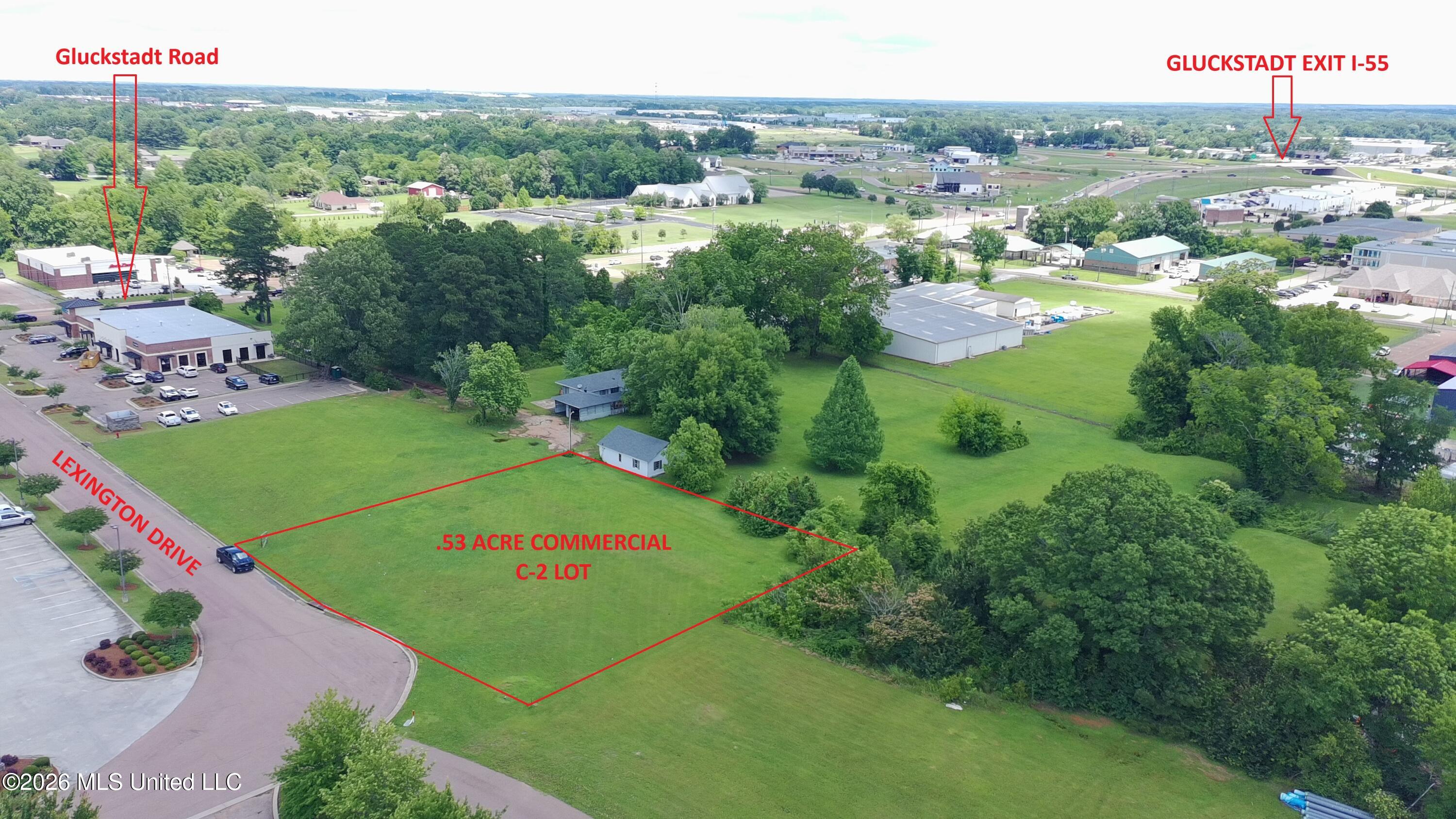 106 Lexington Drive Property Photo 2
