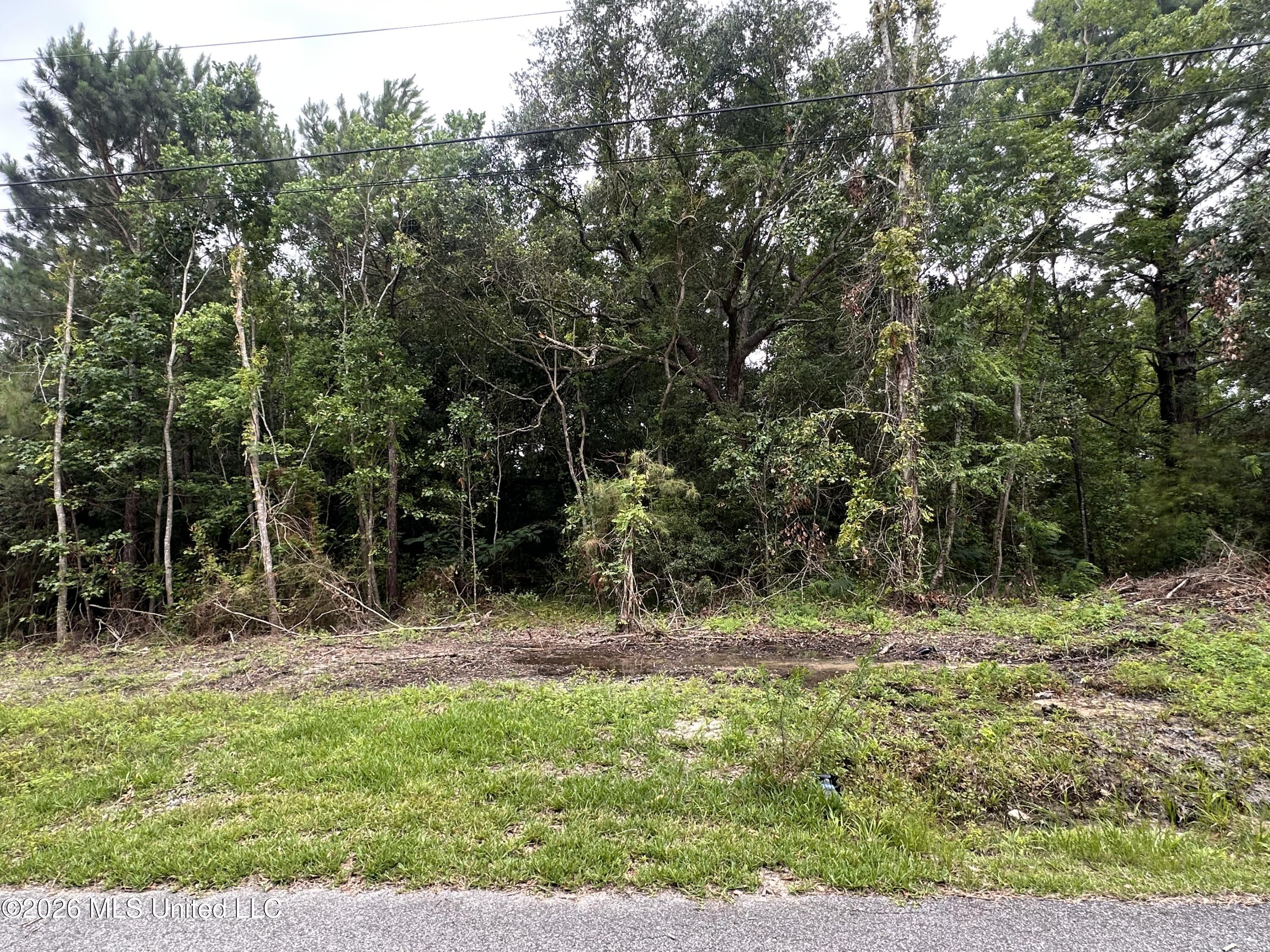 5181 Oak Street Property Photo 1