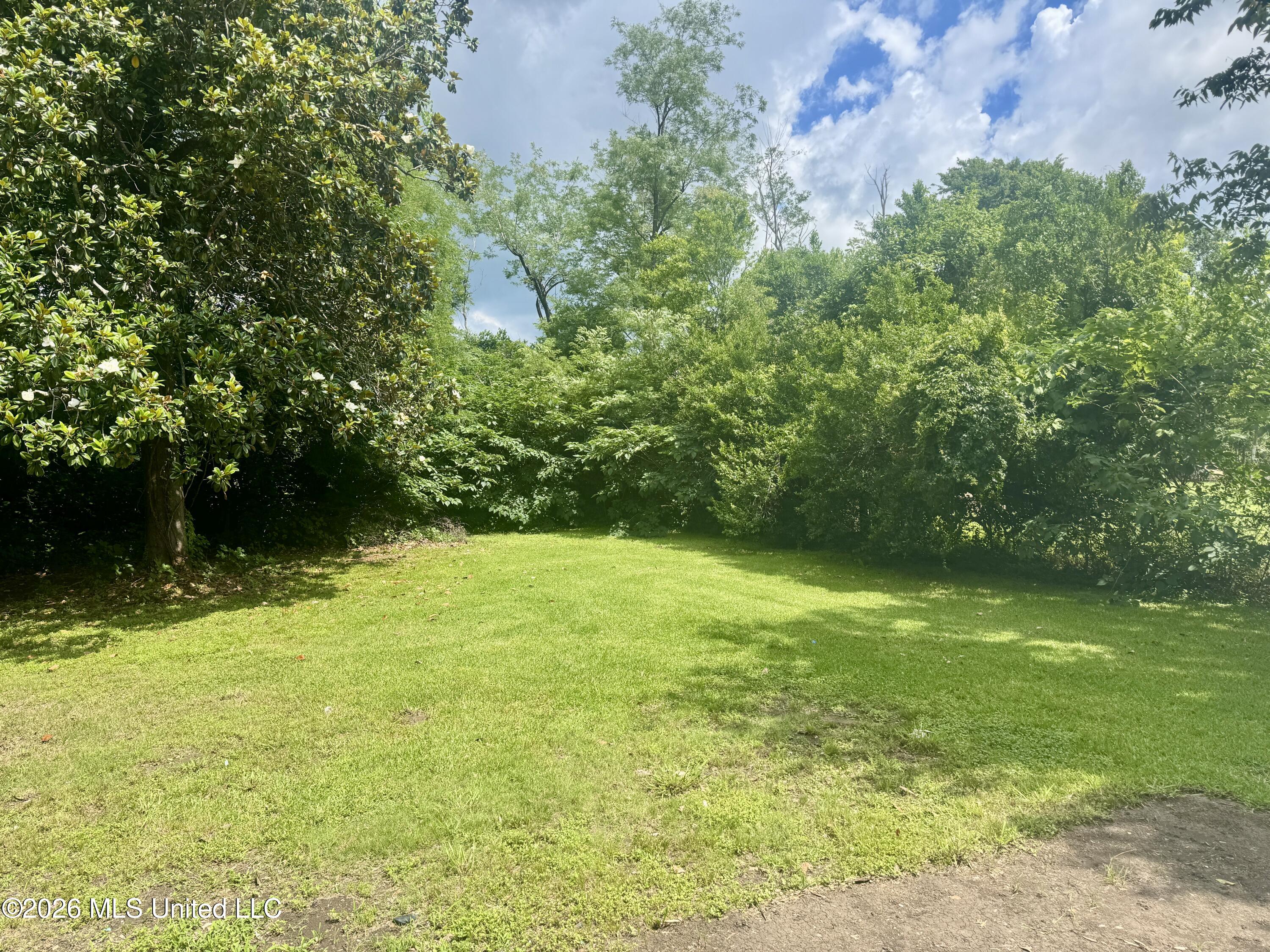 301 Ferriday Drive Property Photo 33