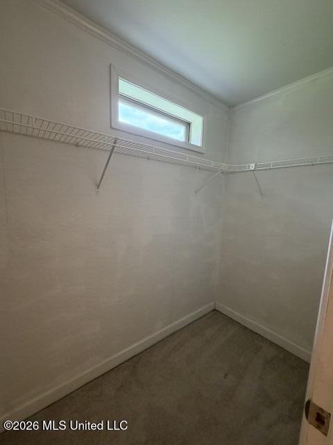 1908 Twin Pine Drive Property Photo 15