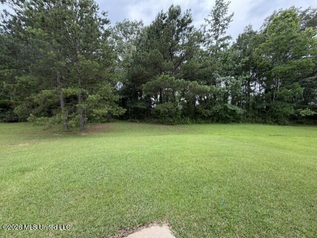 1908 Twin Pine Drive Property Photo 17