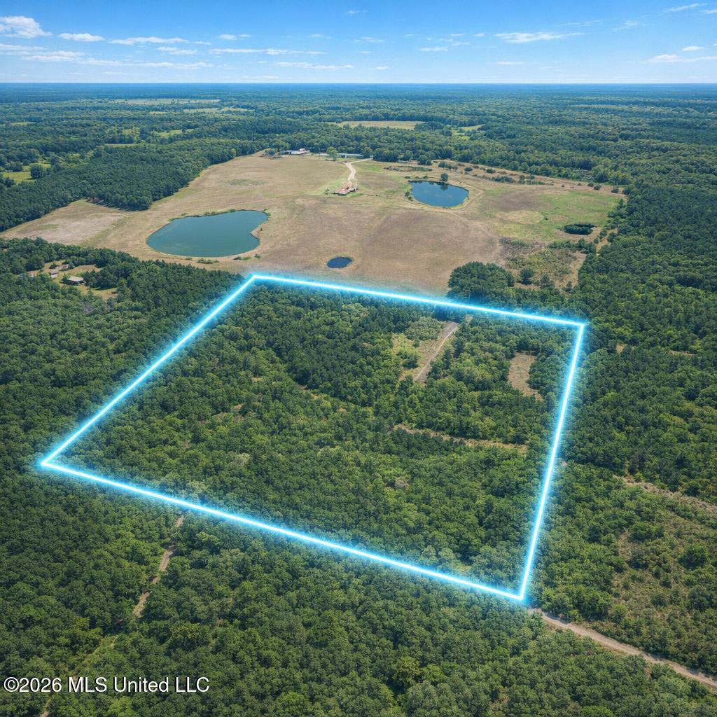 0 Clark Lane Property Photo 1