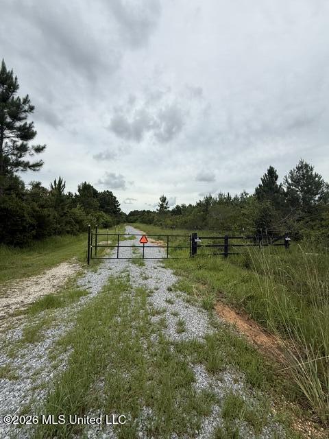 0 Clark Lane Property Photo 3