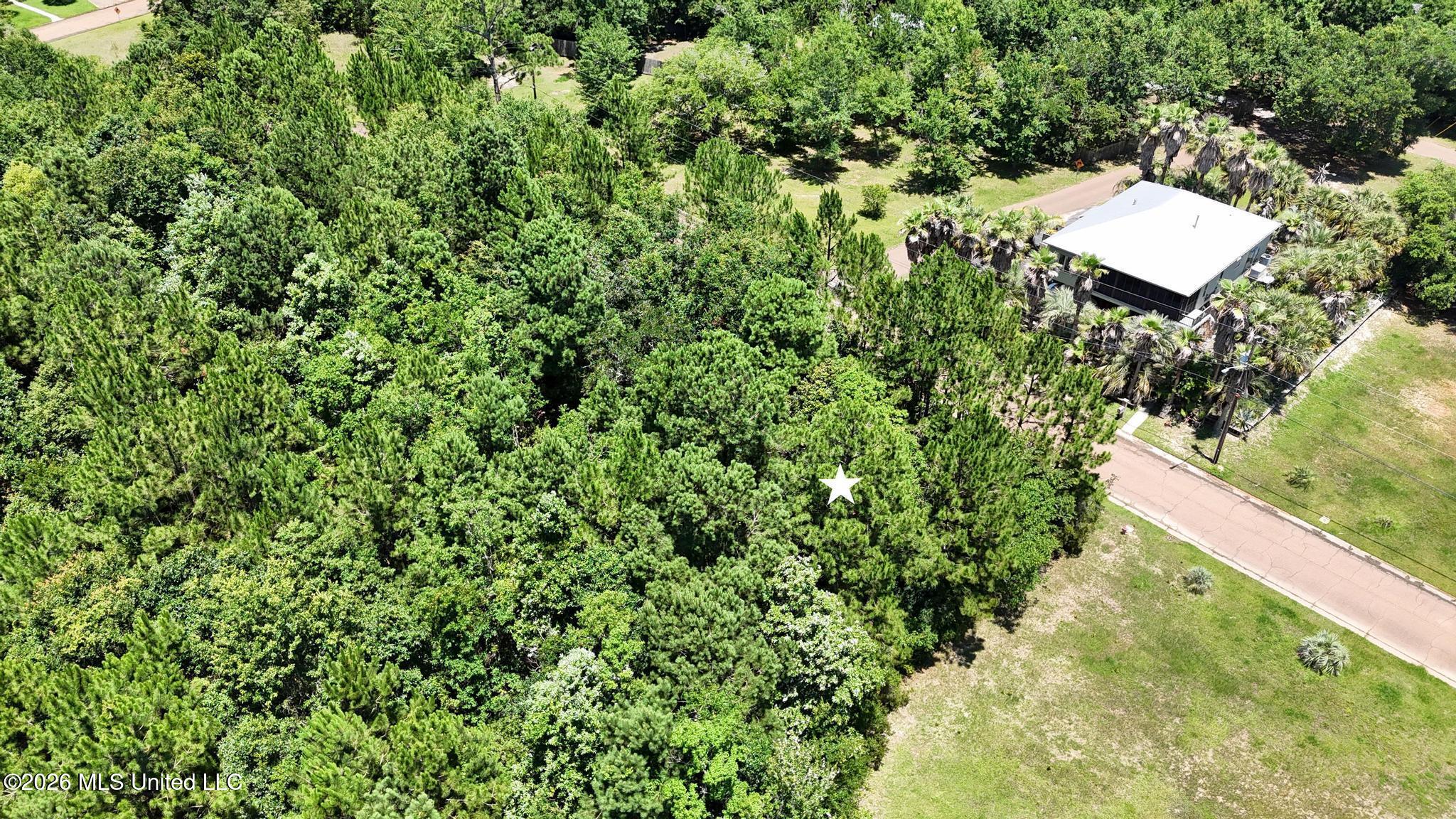 Whispering Pines Drive Property Photo 6