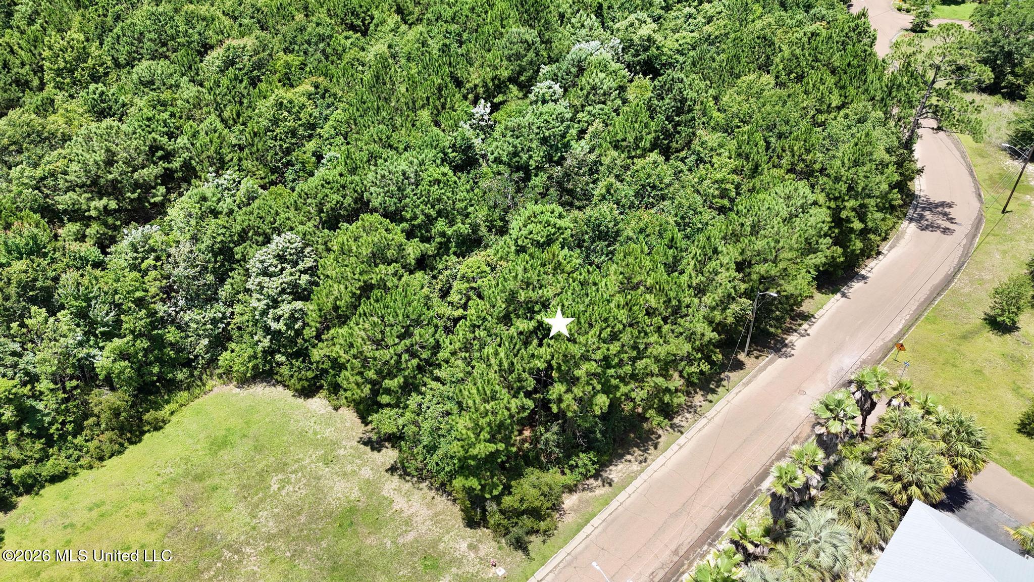 Whispering Pines Drive Property Photo 8
