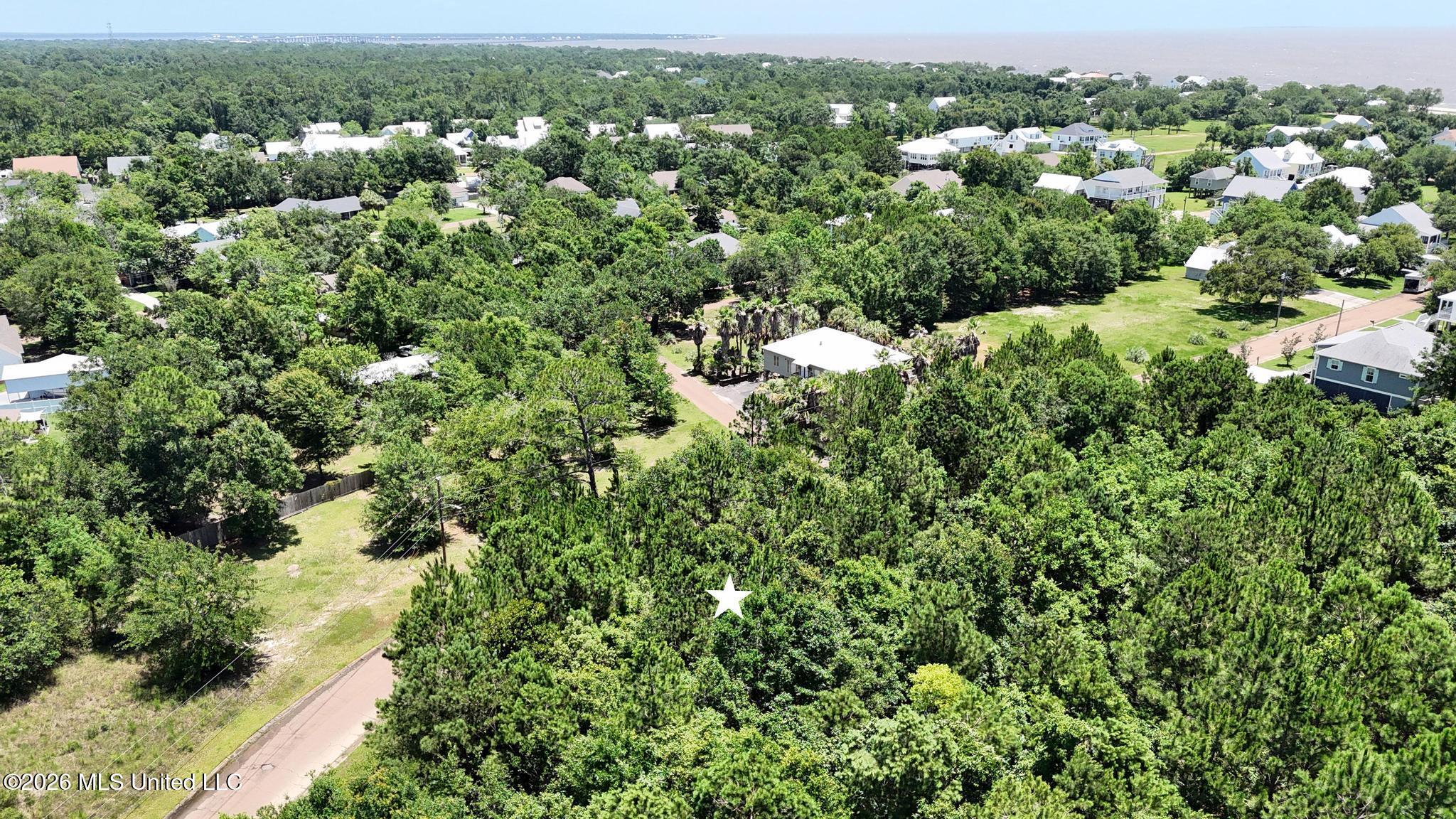 Whispering Pines Drive Property Photo 4