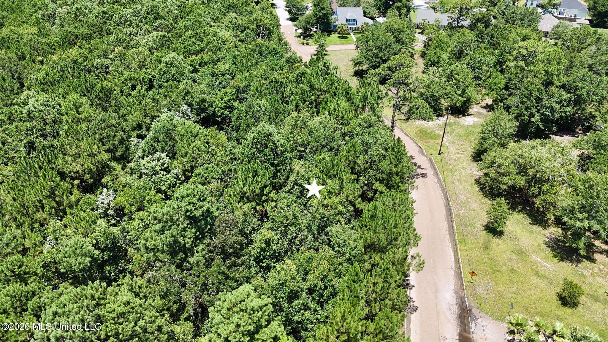 Whispering Pines Drive Property Photo 7