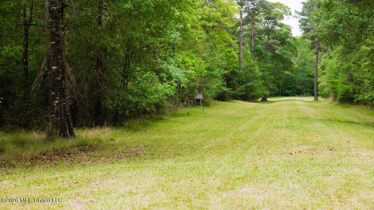 1339 Paradise Lane Property Photo 44