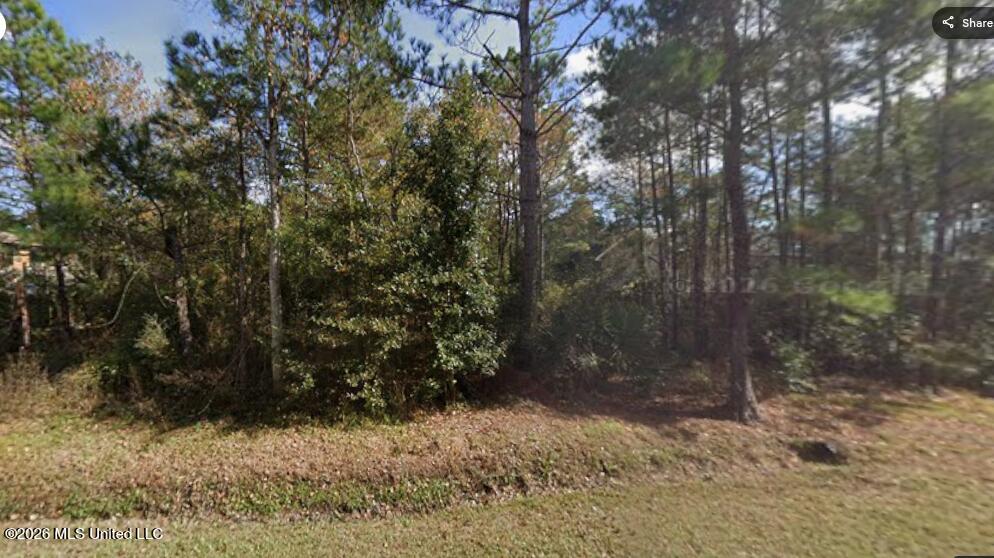 10106 Bancroft Street Property Photo 1