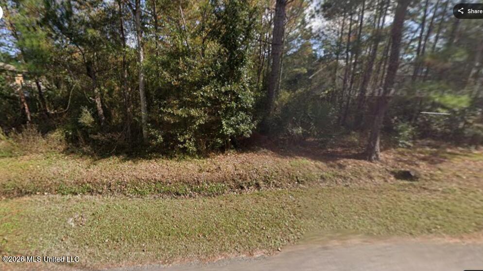 10106 Bancroft Street Property Photo 2