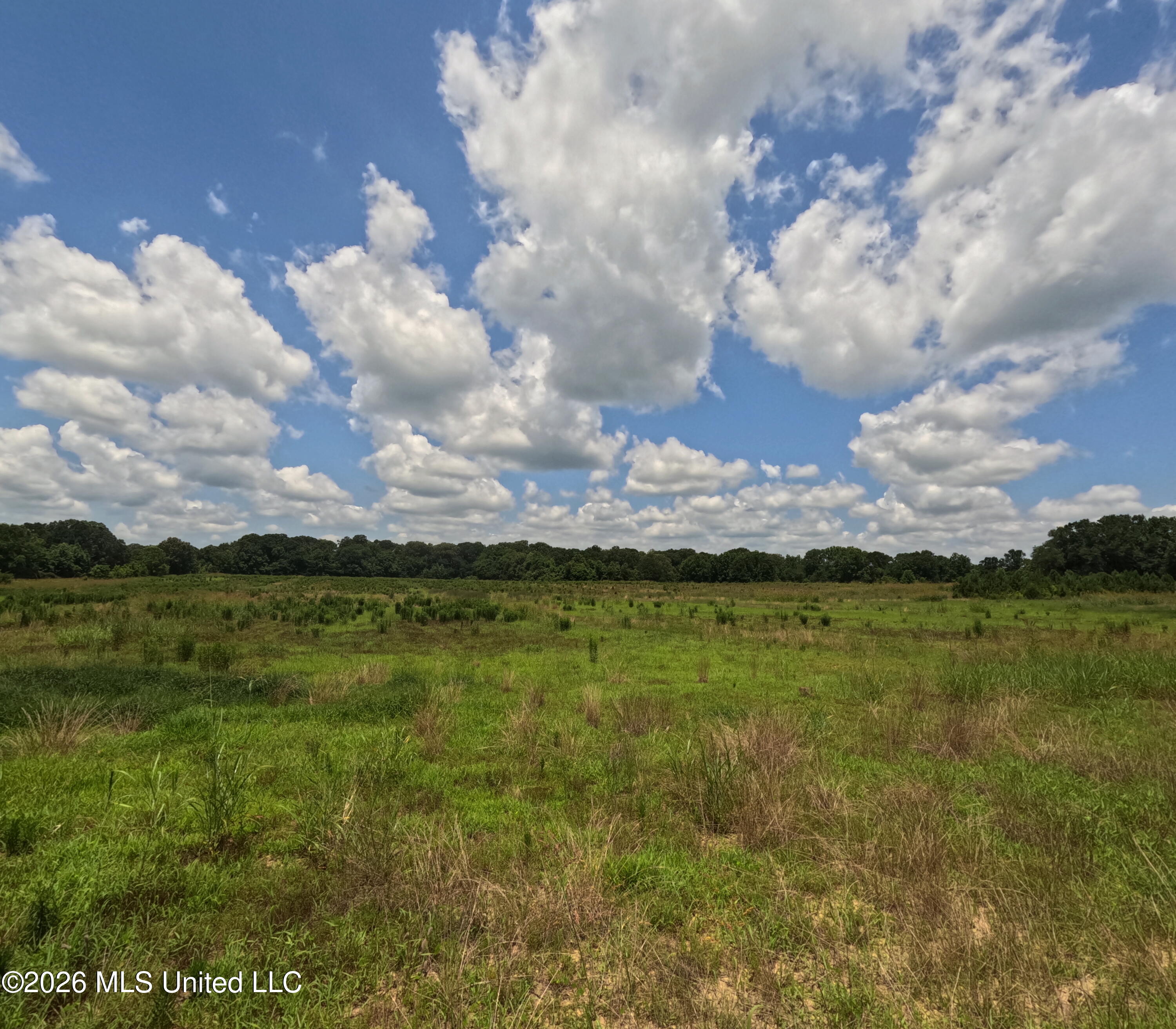 Old Port Gibson/cook Road Property Photo 1