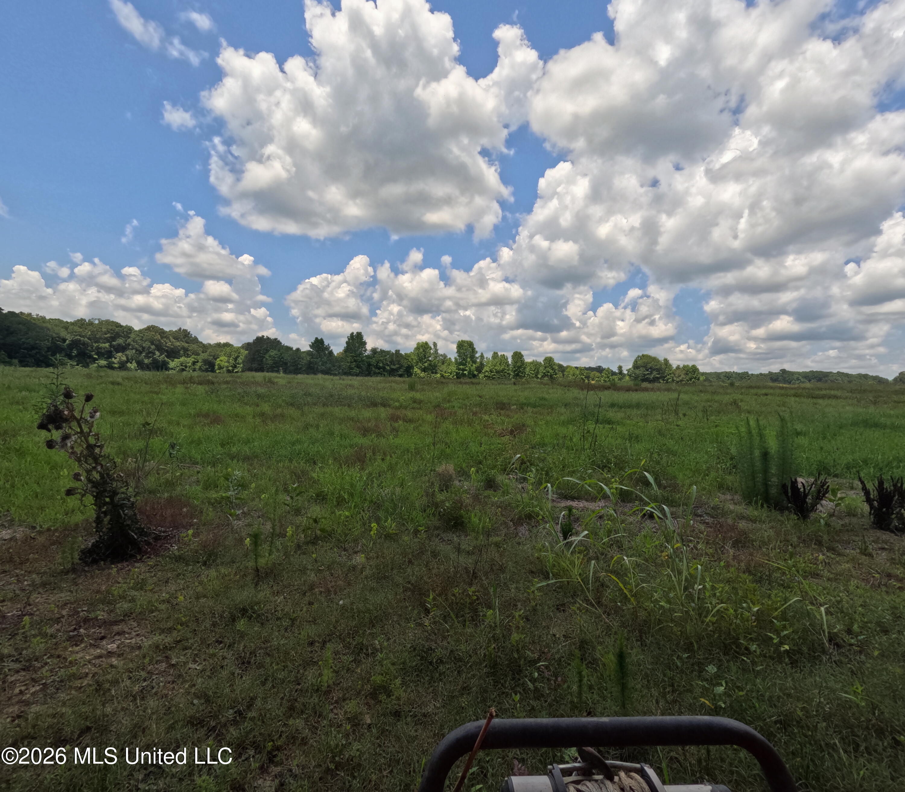Old Port Gibson/cook Road Property Photo 4