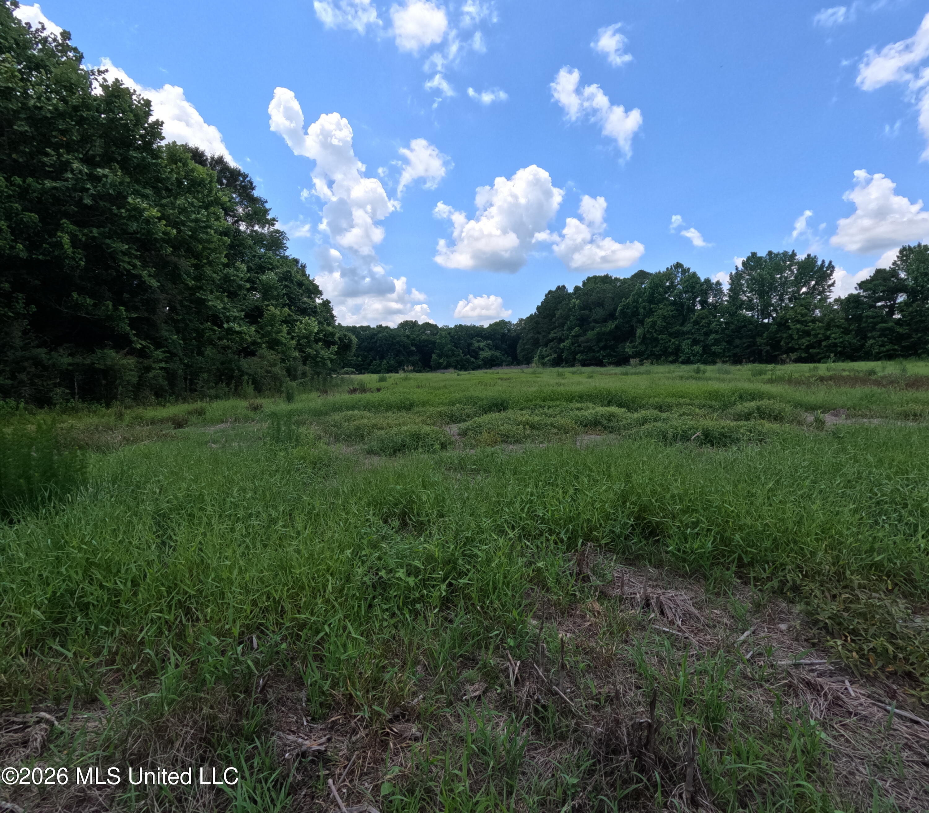 Old Port Gibson/cook Road Property Photo 6