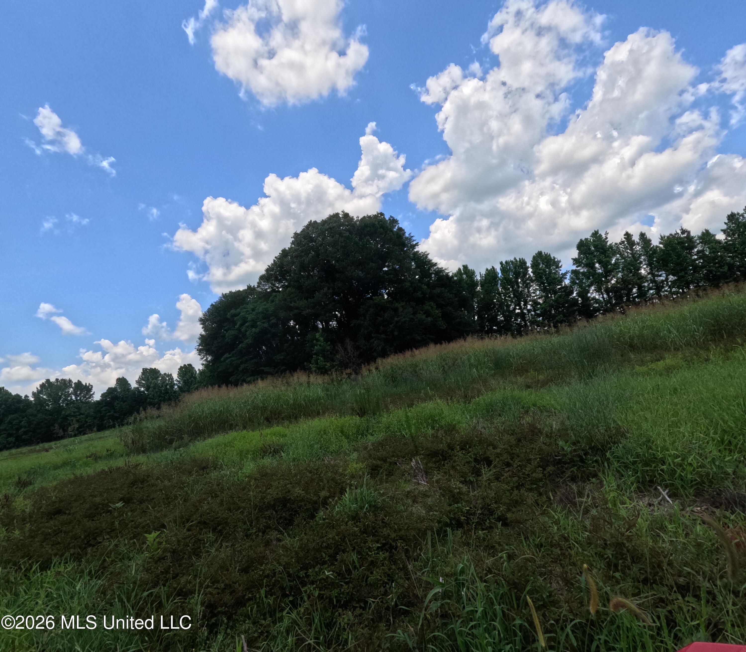 Old Port Gibson/cook Road Property Photo 9